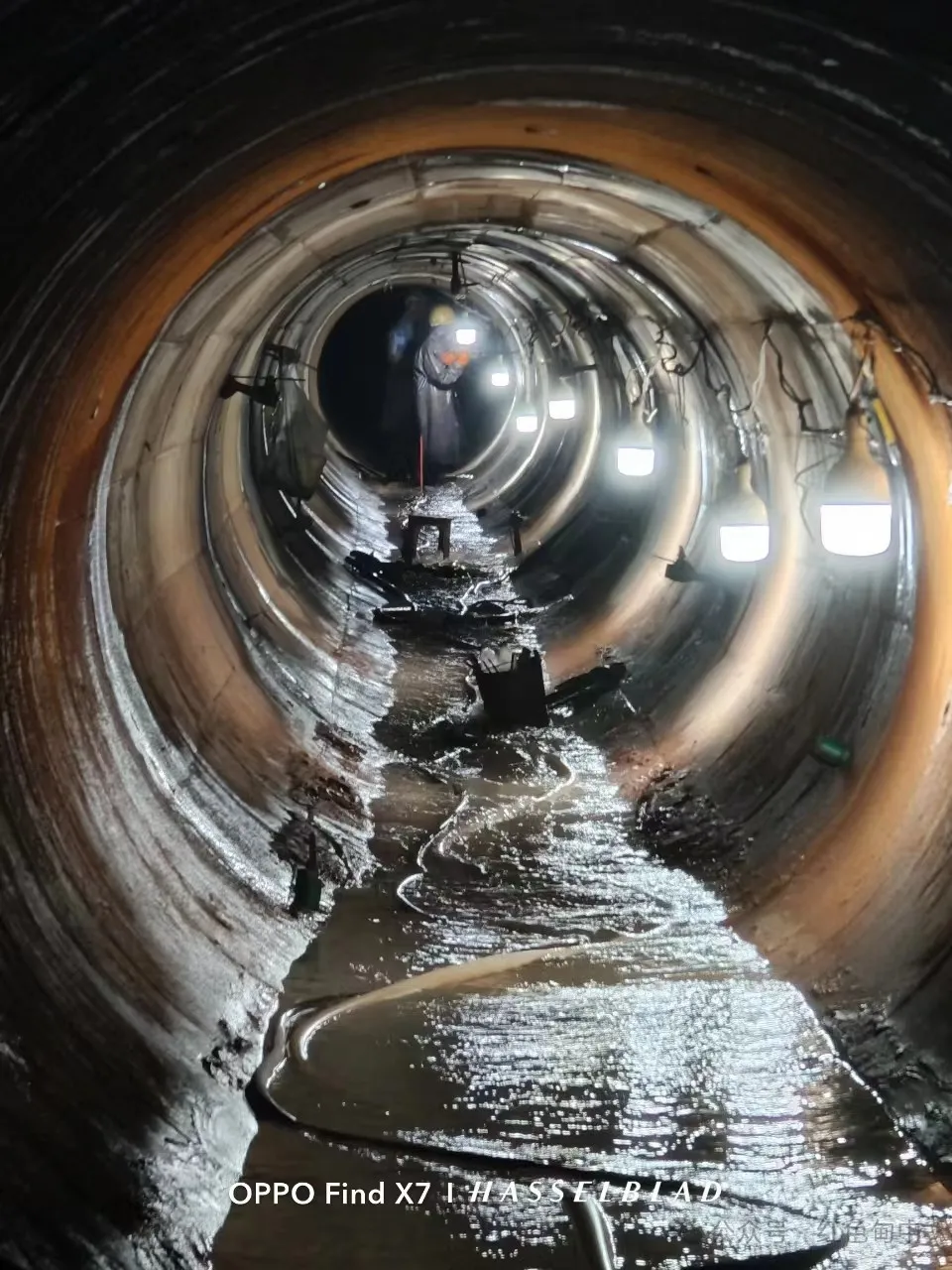 1753842977607.jpg 1753842977607.jpg