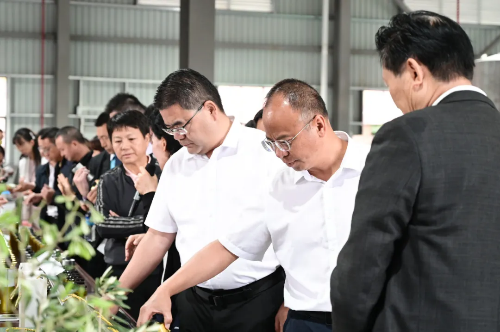 2025年油橄欖產(chǎn)業(yè)發(fā)展推進(jìn)會(huì)召開(kāi)