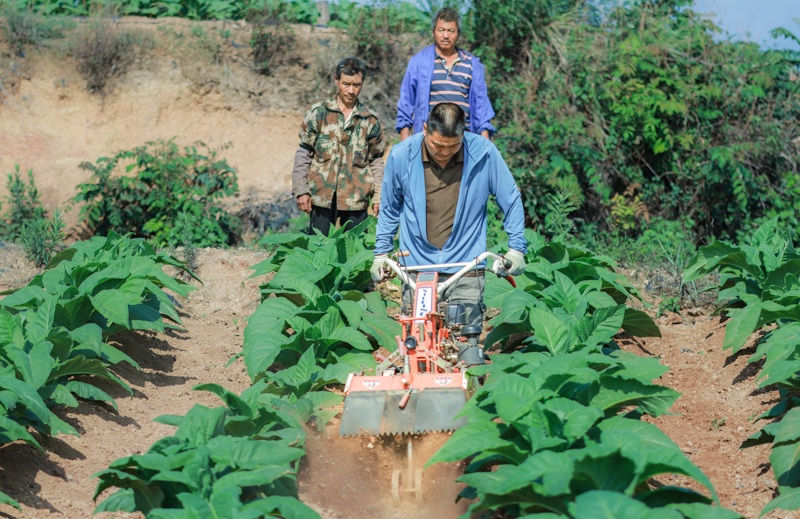 微信圖片_20251209090312_776_14-2.jpg 微信圖片_20251209090312_776_14-2.jpg