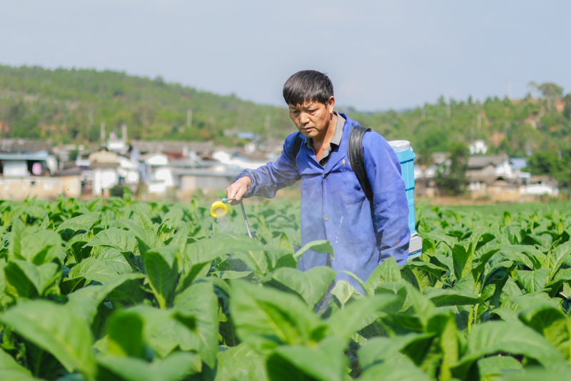 微信圖片_20251209090150_773_14-4.jpg 微信圖片_20251209090150_773_14-4.jpg