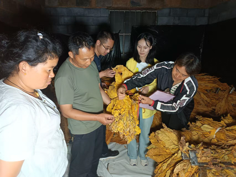 微信圖片_20251209084002_748_14-7.jpg 微信圖片_20251209084002_748_14-7.jpg