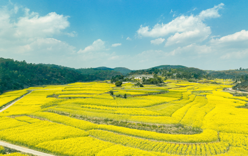 微信圖片_20251209085645_768_14-1.jpg 微信圖片_20251209085645_768_14-1.jpg