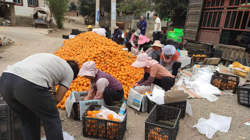 微信圖片_20251209084256_751_14-9.jpg 微信圖片_20251209084256_751_14-9.jpg