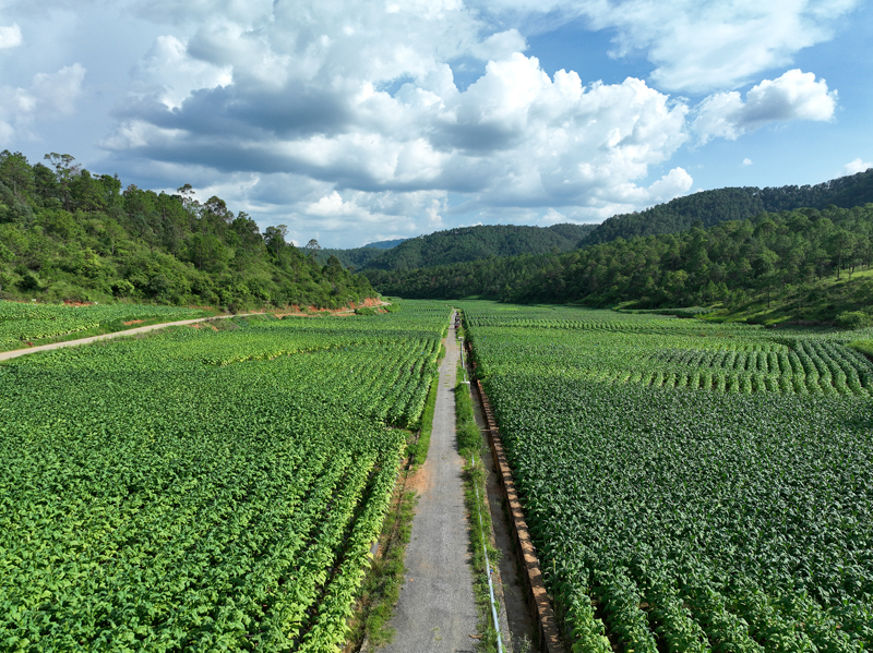 微信圖片_20251209090421_777_14-12.jpg 微信圖片_20251209090421_777_14-12.jpg