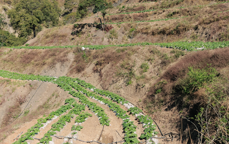 微信圖片_2025-12-10_114032_842-1.jpg 微信圖片_2025-12-10_114032_842-1.jpg