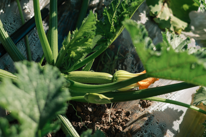 微信圖片_2025-12-10_114043_274-3.jpg 微信圖片_2025-12-10_114043_274-3.jpg