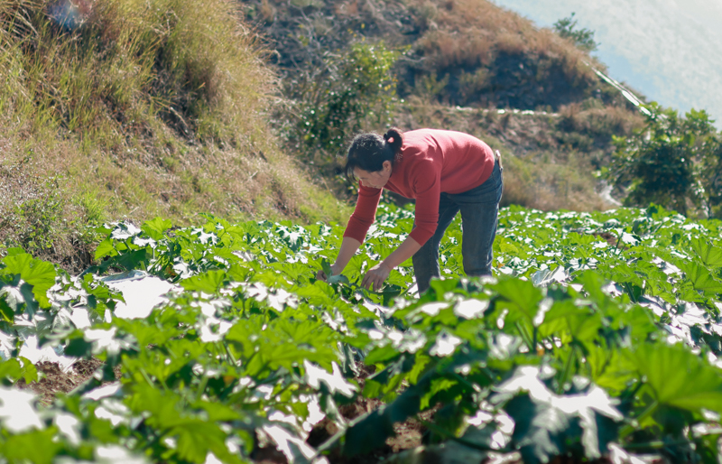 微信圖片_2025-12-10_114026_370-4.jpg 微信圖片_2025-12-10_114026_370-4.jpg