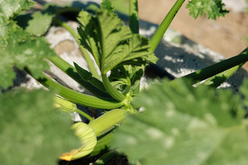 微信圖片_2025-12-10_114038_426-2.jpg 微信圖片_2025-12-10_114038_426-2.jpg