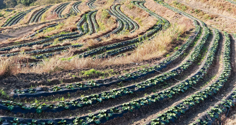 微信圖片_2025-12-10_115333_520-5.jpg 微信圖片_2025-12-10_115333_520-5.jpg