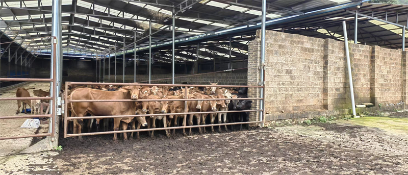 f8c92af6704447730132ea297c3553b3.jpg f8c92af6704447730132ea297c3553b3.jpg