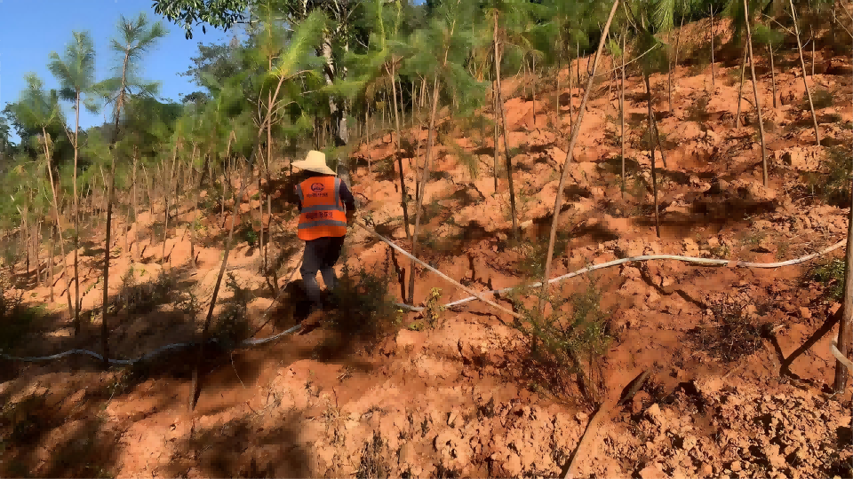 150143g2ed4cxozty2nwfg.png 150143g2ed4cxozty2nwfg.png