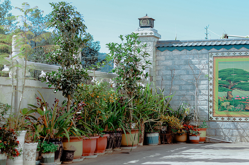 微信圖片_2025-12-15_164832_224.jpg 微信圖片_2025-12-15_164832_224.jpg