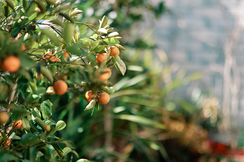 微信圖片_2025-12-15_164805_279.jpg 微信圖片_2025-12-15_164805_279.jpg