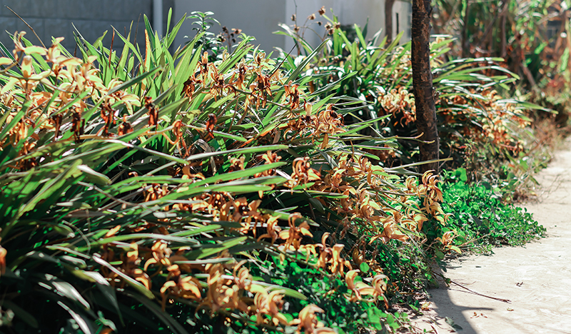 微信圖片_2025-12-15_164821_287.jpg 微信圖片_2025-12-15_164821_287.jpg