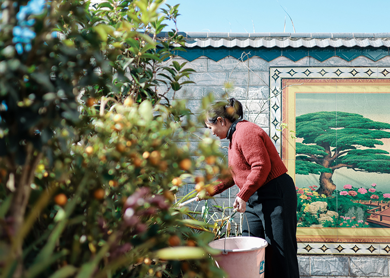 微信圖片_2025-12-15_165106_847.jpg 微信圖片_2025-12-15_165106_847.jpg