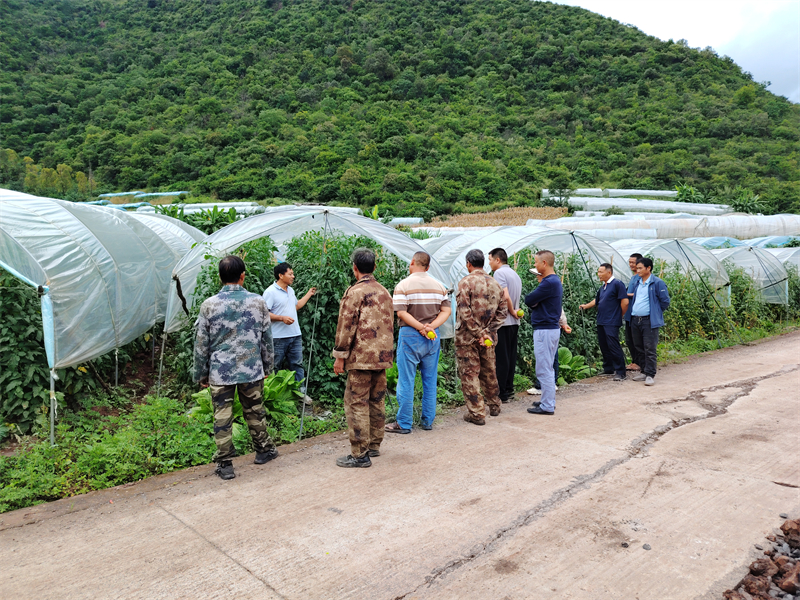 微信圖片_2025-12-16_153031_740.jpg 微信圖片_2025-12-16_153031_740.jpg