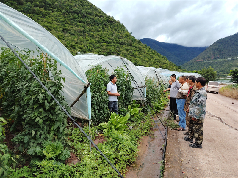 微信圖片_2025-12-16_153038_211.jpg 微信圖片_2025-12-16_153038_211.jpg