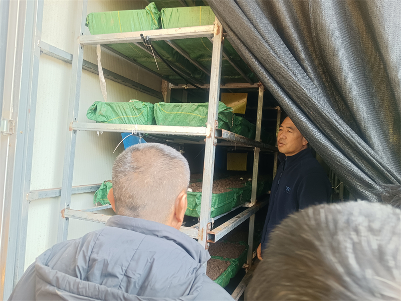 微信圖片_2025-12-16_153109_332.jpg 微信圖片_2025-12-16_153109_332.jpg