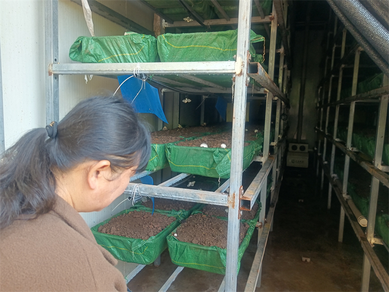 微信圖片_2025-12-16_153114_292.jpg 微信圖片_2025-12-16_153114_292.jpg