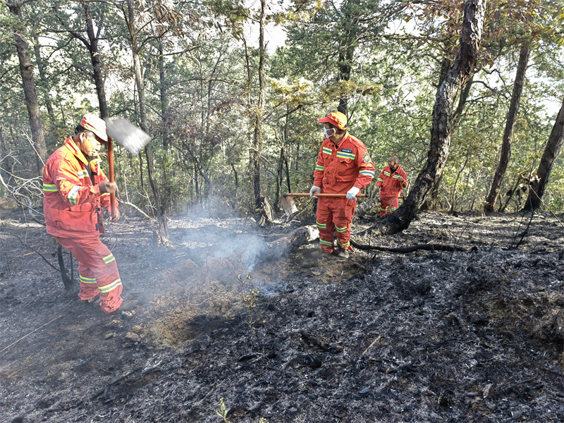 微信圖片_20260105180027_45_46.jpg 微信圖片_20260105180027_45_46.jpg