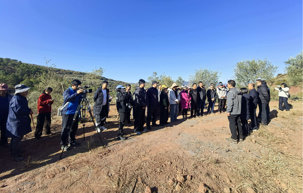 163845xzo9zs7he08mo5t7.png 163845xzo9zs7he08mo5t7.png