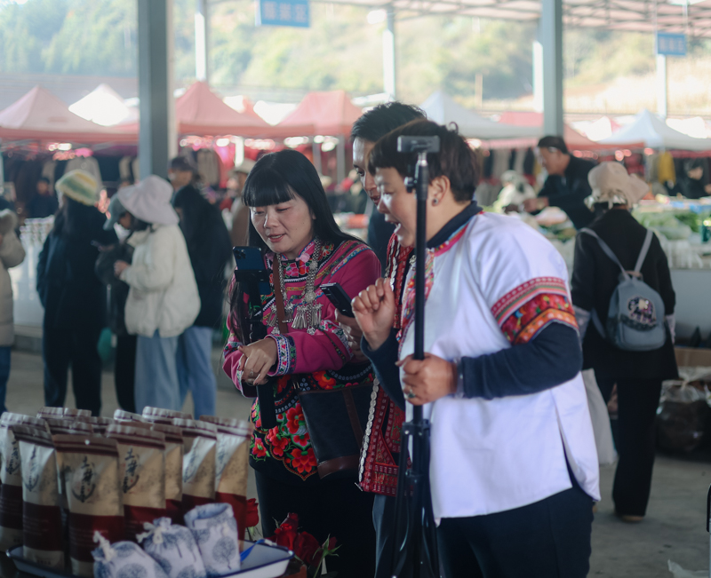 未命名 (4 - 6).jpg