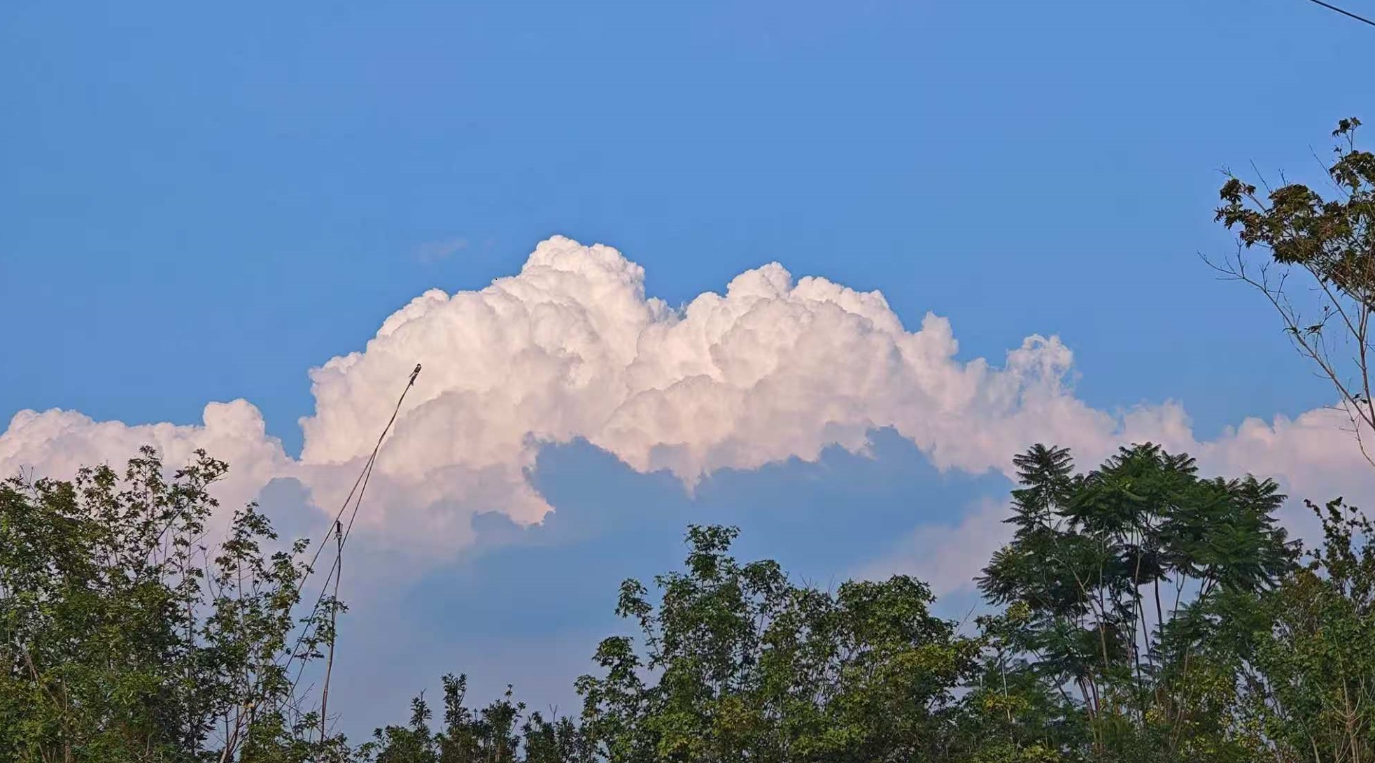 微信圖片_20251218204315_28_2.jpg 微信圖片_20251218204315_28_2.jpg