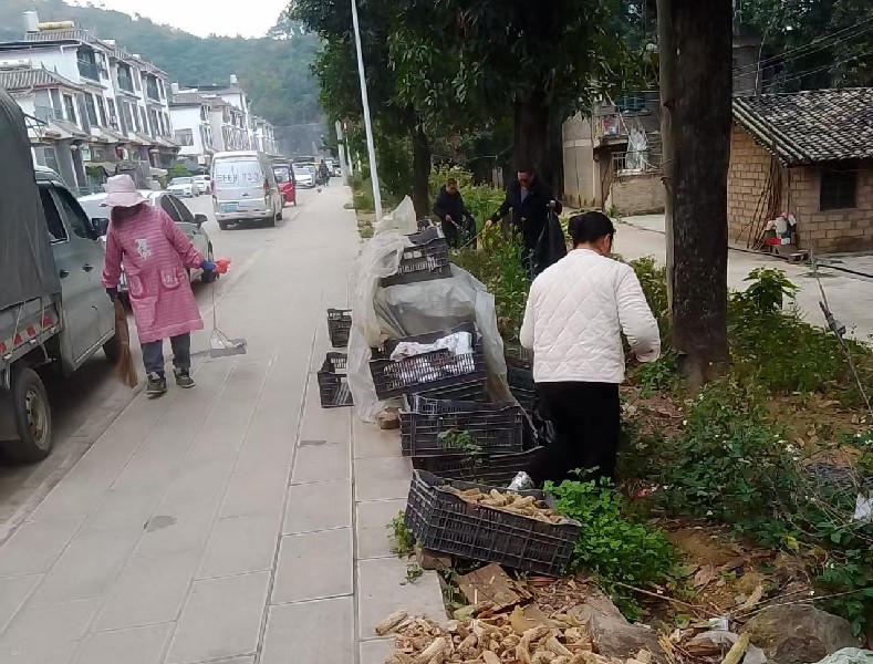 微信圖片_20260130102804_592_27.jpg 微信圖片_20260130102804_592_27.jpg