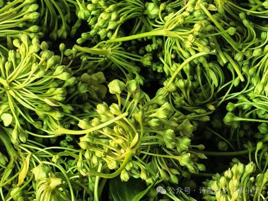 640 (1).jpg 640 (1).jpg