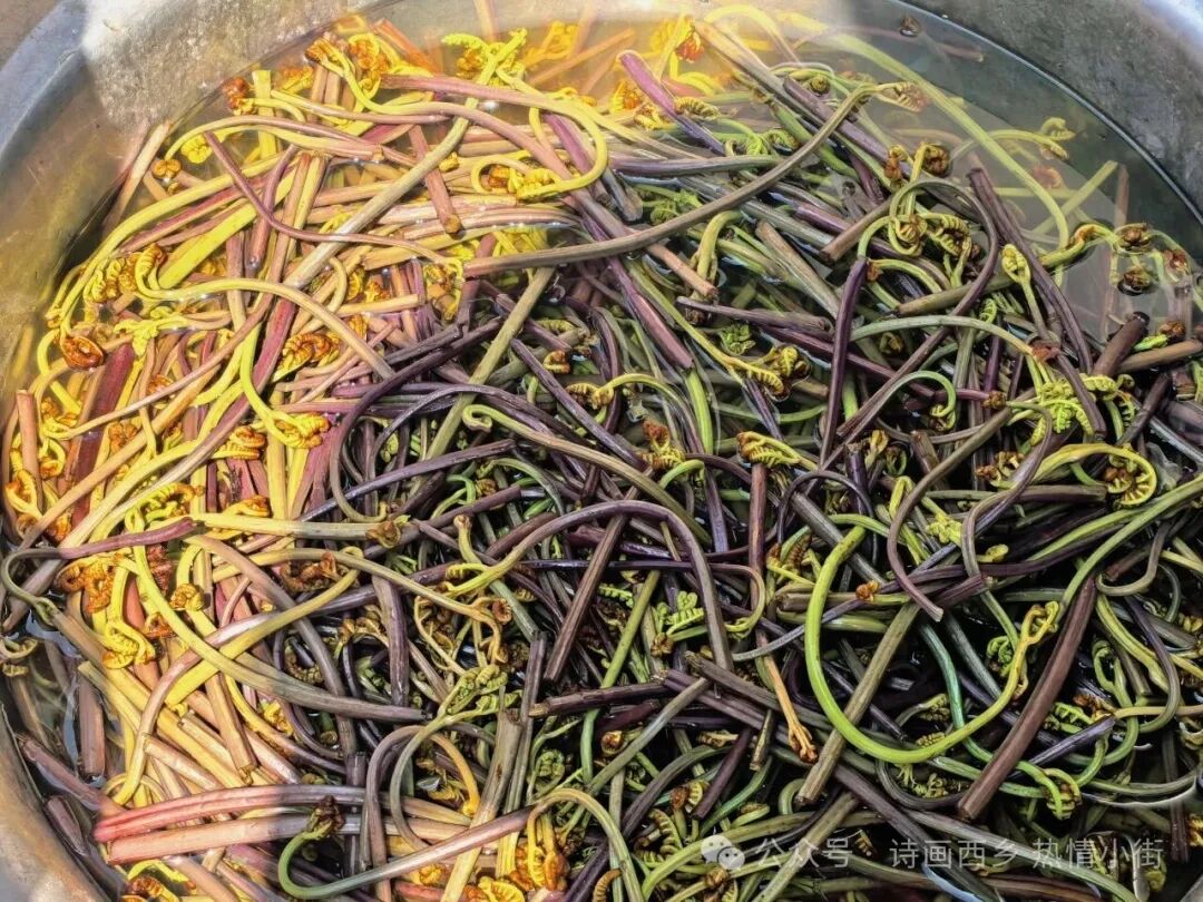 640 (2).jpg 640 (2).jpg