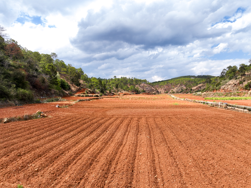 DJI_0420.jpg DJI_0420.jpg