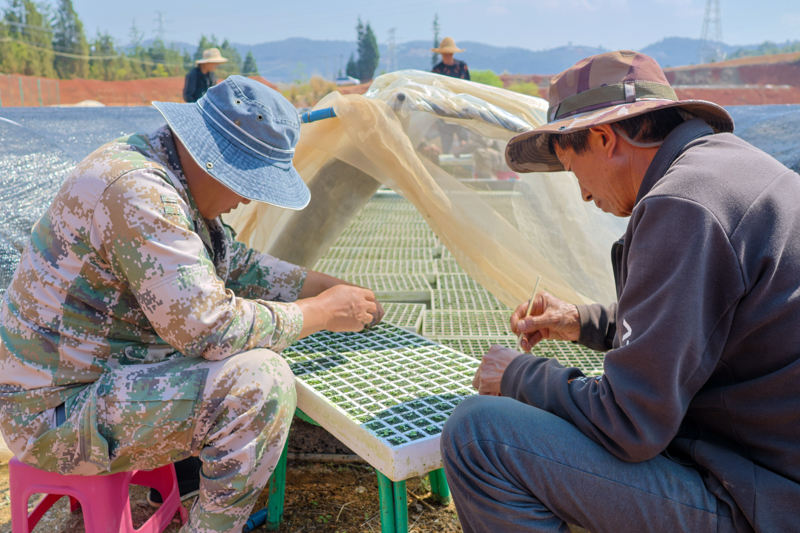 CY4A8262.jpg CY4A8262.jpg