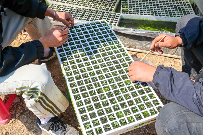 CY4A8271.jpg CY4A8271.jpg