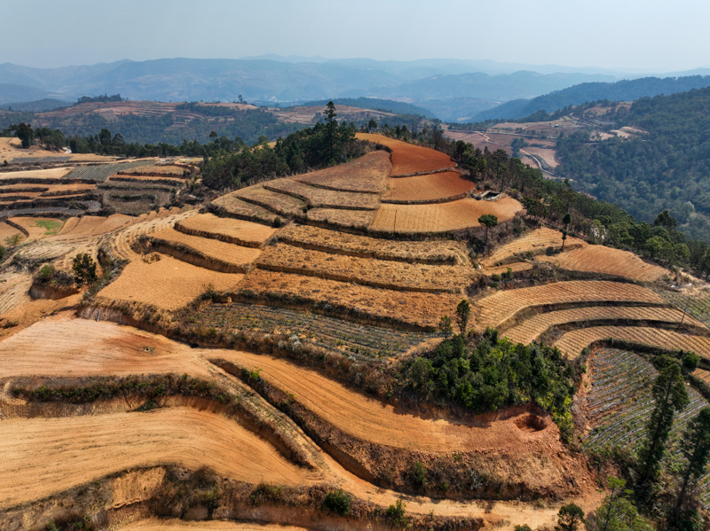 DJI_0426.jpg DJI_0426.jpg