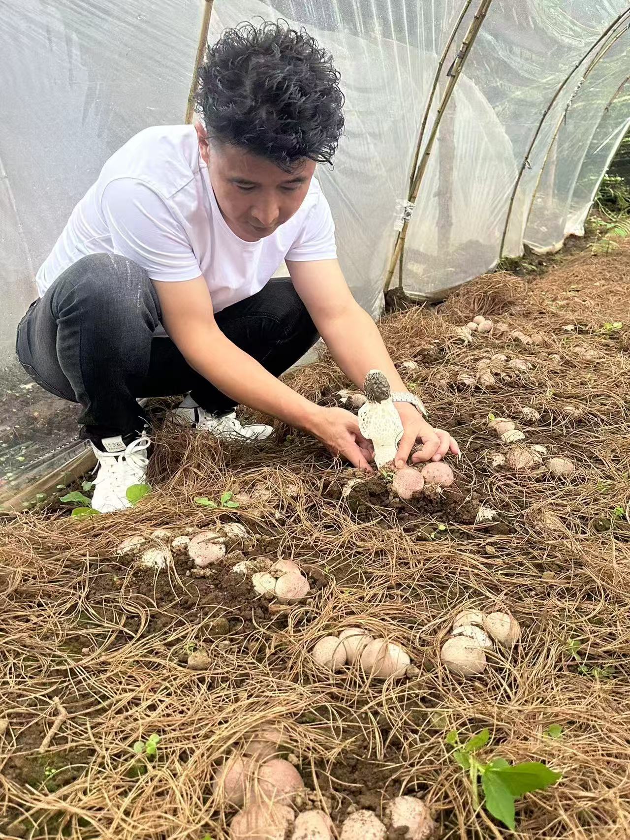 微信圖片_20250617193001.jpg 微信圖片_20250617193001.jpg