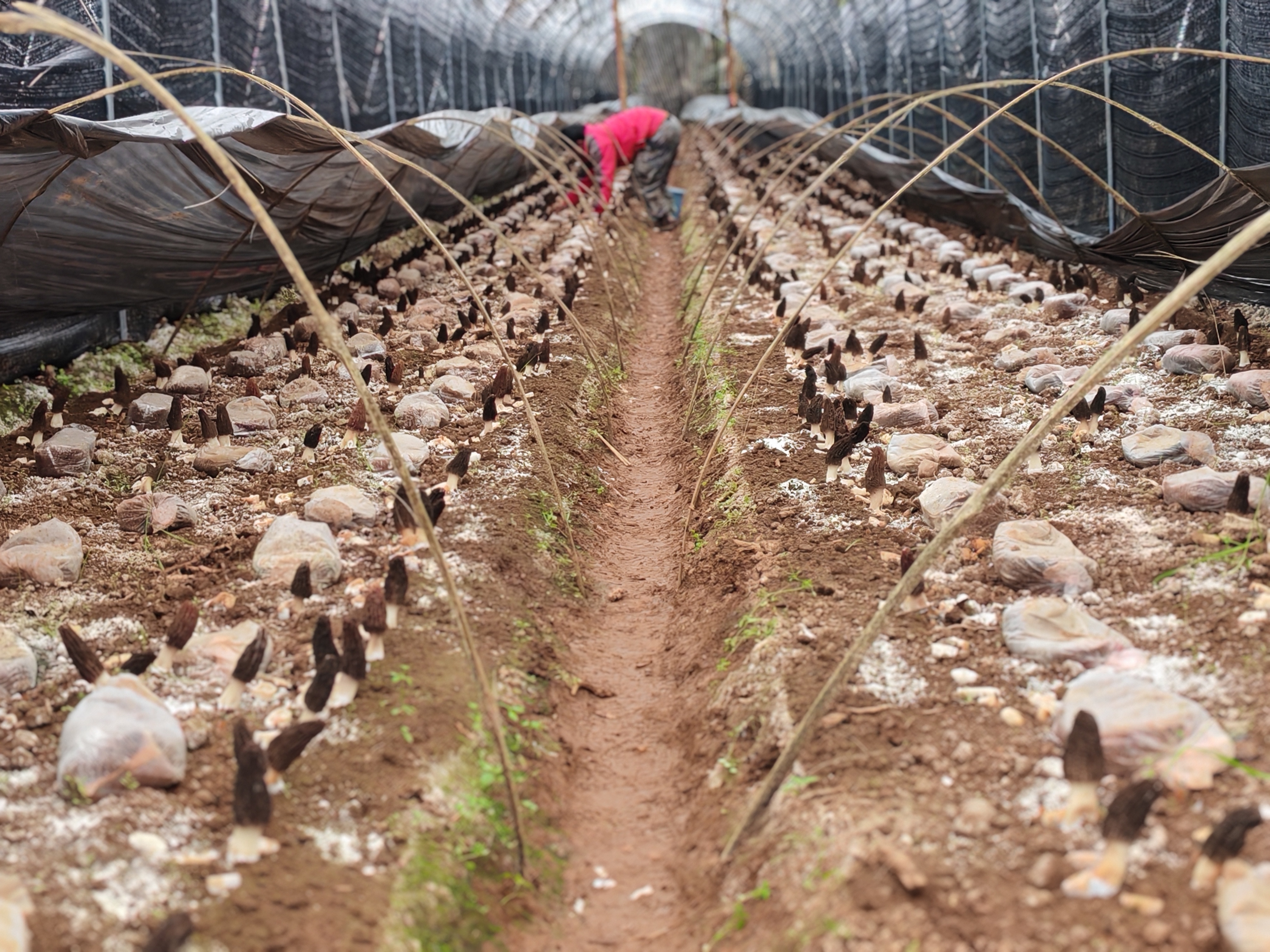 微信圖片_20250724170130.jpg 微信圖片_20250724170130.jpg