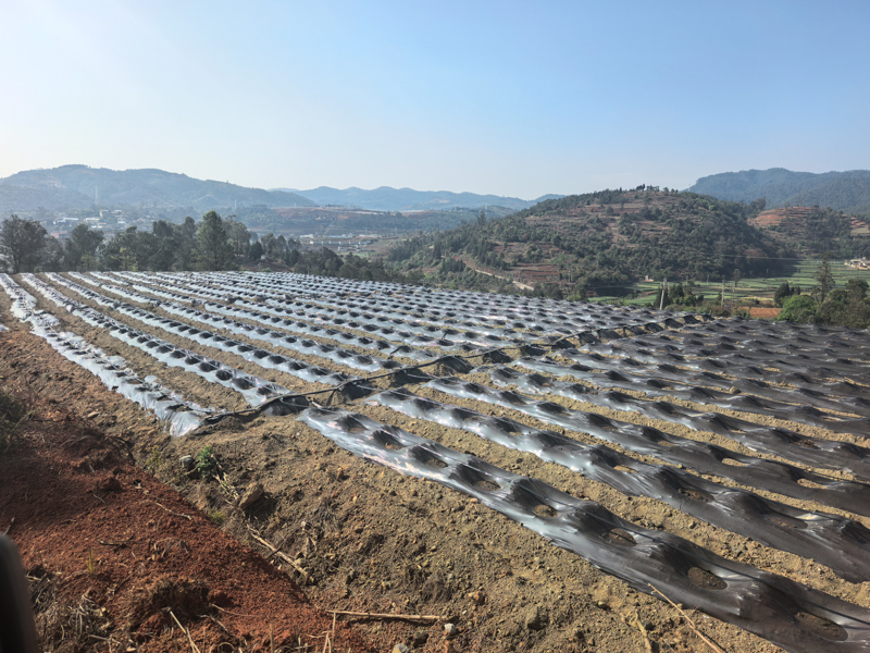 微信圖片_20260402145018_186.jpg 微信圖片_20260402145018_186.jpg