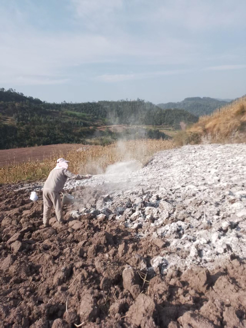 2026.4.1(1).jpg 2026.4.1(1).jpg