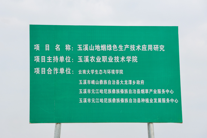 CY4A9468.jpg